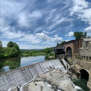 Meet your Posher, Sammy